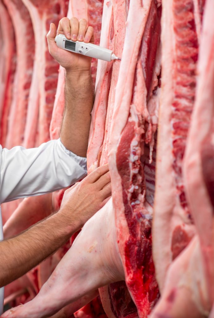Viande-en-abattoir